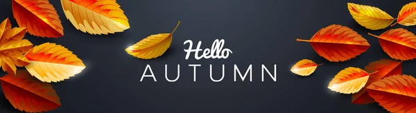 Sonbahar Sezonu Arkaplanı Yapraklar Boşlukla Dekore Edilir Alışveriş Promosyonu Poster — Stok Vektör
