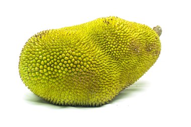 Genç nefesi izole.