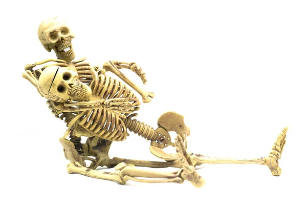 Ανθρώπινος σκελετός απομονωμένος σε λευκό φόντο — Φωτογραφία Αρχείου