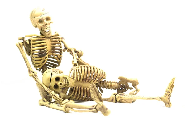 Human skeleton isolated on white background — Stock Photo, Image