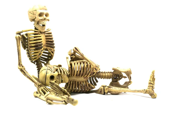 Скелет человека изолирован на белом фоне — стоковое фото