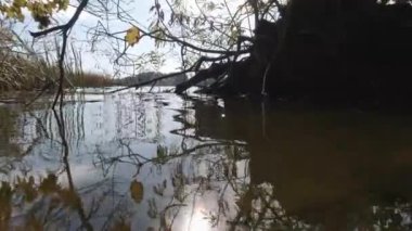 Nehrin yüzeyinden yansıyan güneşin yansıması dalgalardan sallanıyor.