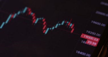 Şifreleme para artışı için yeni bir rekor gösteren interaktif bir bitcoin dolar grafiği.