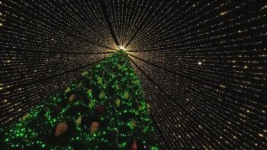 Parlak çelenklerle süslenmiş Noel ağacı. Tüm çelenkler, Noel yıldızının kurulduğu ağacın tepesine doğru toplanır..