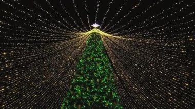 Noel ağacının tepesindeki Noel yıldızı. Noel ağacı çelenklerle süslenmiş..