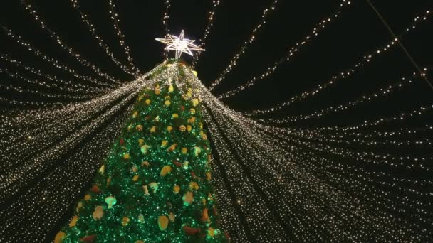 Vítr Houpe Zářícími Věnci Vánočního Stromku Bliká Něj Bezpočet Světel — Stock video