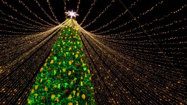 Noel ağacının tepesindeki Noel yıldızı.