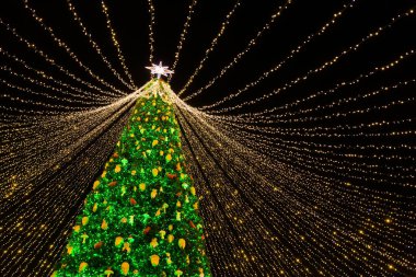 Geceleyin Noel ağacı ve Noel yıldızı 