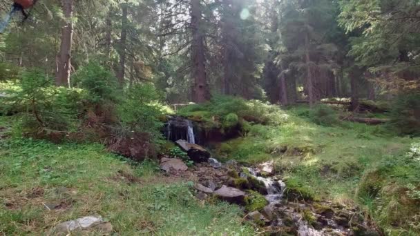 Egy férfi hátizsákkal és botokkal sétál a patak mellett. — Stock videók