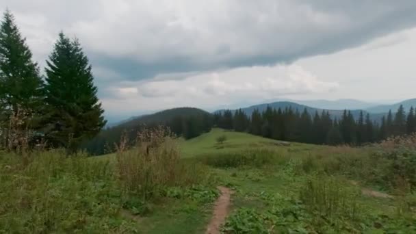 Procházka po stezce průsmykem v karpatském lese letní den. — Stock video