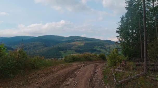 在喀尔巴阡山脉的森林里，一个背着背包，脚踏两根柱子的女人走在一条小径上 — 图库视频影像