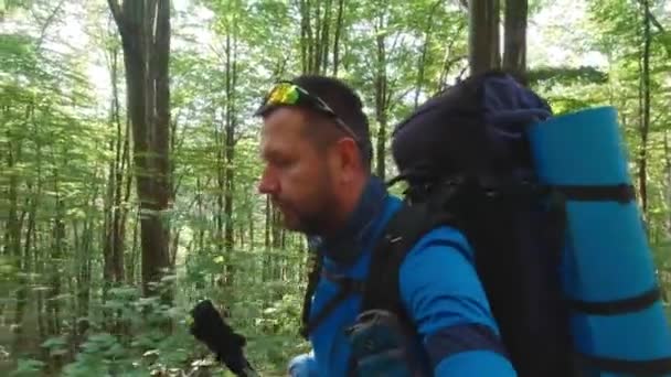 カルパチアの森で男のハイキング夏の太陽の日. — ストック動画