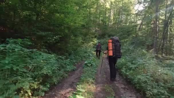 Чоловік і жінка пішохідний в Карпатському лісі літо сонячний день . — стокове відео