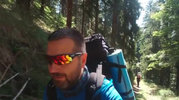 Турист з рюкзаком в карпатському лісі сонячний літній день . — стокове відео