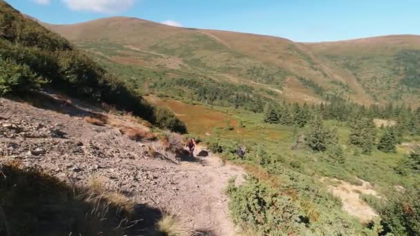 A turisták megmászni a hegyet az ösvény mentén a Kárpátok egy napsütéses napon. — Stock videók