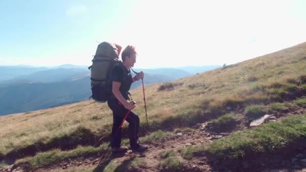 Hike in the carpathian mountains on a sunny summer day — Vídeo de stock