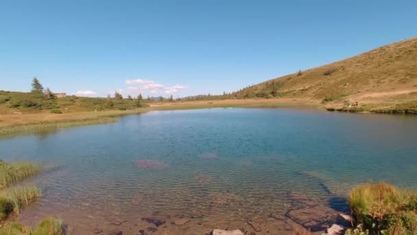 Clear water of the small mountain lake in the Carpathian mountains — Stockvideo