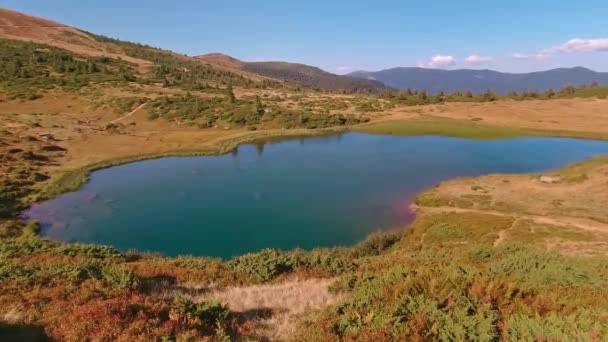 Lake in Carpathian mountains in sunny day. — Stock Video
