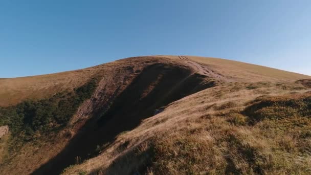 Cárpatos cordilheira verão dia ensolarado. — Vídeo de Stock