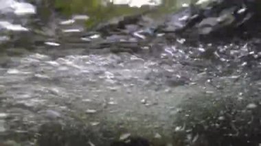 Önce suyun altından sonra da yukarıdan dağ nehrinin manzarası. Karpatlar.