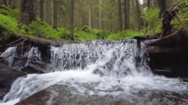 Ukrayna Karpatları 'ndaki orman deresi ve üzerinde küçük bir doğal şelale..