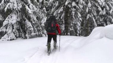 Kışın karlı yolda yürürken karla kaplı köknar ağaçları arasında. 