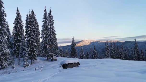 Caminhando Caminho Coberto Neve Inverno Entre Abetos Cobertos Neve — Vídeo de Stock