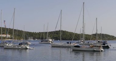 Yatlar bir yaz akşamı marinada bir şamandıraya demirlemişti.