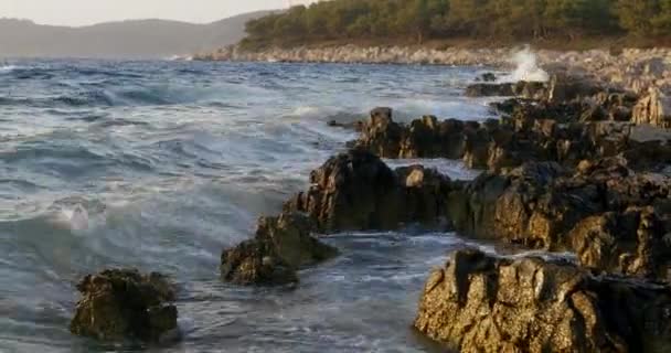 Fale Adriatyku Rozbijają Się Skalistych Brzegach Chorwackiej Wyspy — Wideo stockowe