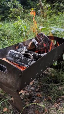 Mangalda yanan odunların dikey videosu, açık havada ızgara yapmak ve piknik yapmak için sıcak kömüre dönüşmesi.