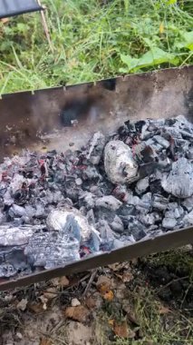 Eldivenli elin sıcak barbekü kömürlerinden, açık hava yemeklerinden ve piknik sürecinden patates toplarken çekilmiş dikey bir video.