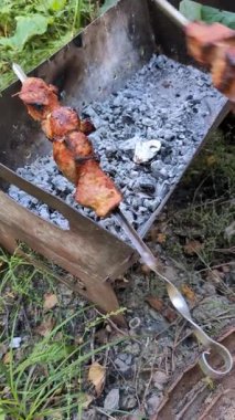Kömür ızgarasına, pikniğe ve yemek pişirme sürecine et şişi koymanın dikey videosu.