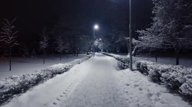 Gece vakti sakin bir kış parkı yolunda el kamerasıyla çekilen görüntüler. Düşen kar, karanlık soğukta sallanan hareketlerle sokak lambalarının altındaki ağaç ve bankları kaplıyor..