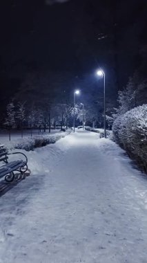 Gece vakti bir kış parkında karlı bir patikanın el kamerasıyla çekilmiş görüntüsü. Düşen kar, bu soğuk doğa sahnesinde sokak lambalarının altında bir bank ve ağaçları kaplıyor.