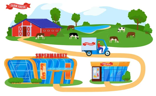 Farmers products supply chain vector illustration, cartoon courier on truck delivering farmer food to supermarket, grocery store — Stock Vector