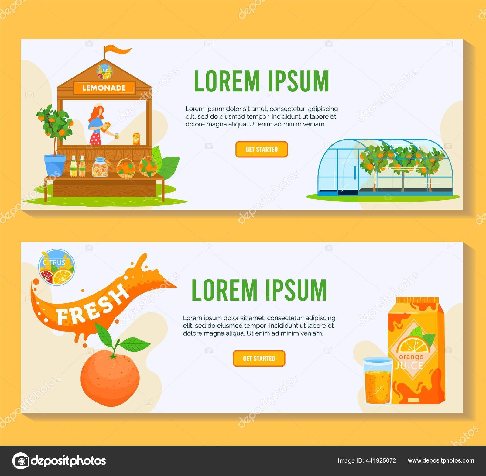 Ilustrasi Vektor Produk Buah Jeruk Sitrus