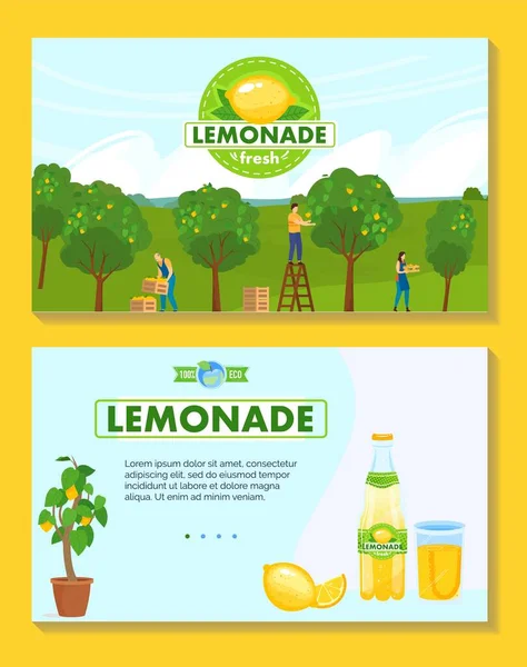 Limonada natural producción vector ilustración, dibujos animados plana vitamina limón bebida embalaje, personas cosechando frutas de limón — Vector de stock