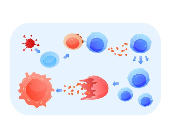 用于研究DNA的科学，显微镜下切割的人体细胞，医学研究，卡通式病媒图解，在白色上分离. — 图库矢量图片