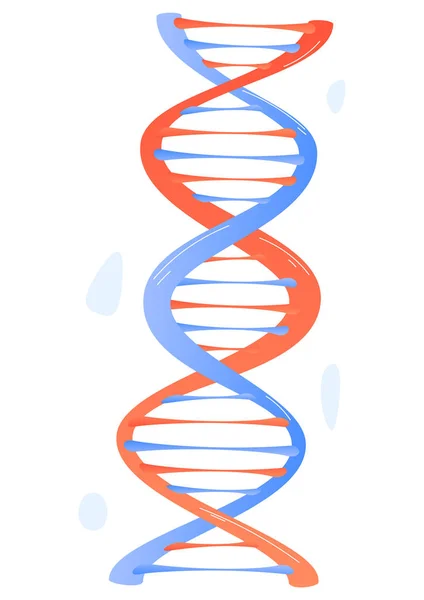 Structure de l'ADN, cellule humaine coupée au microscope, recherche médicale, illustration vectorielle de style dessin animé, isolée sur blanc. Identification maladies génétiques, technologie santé humaine. — Image vectorielle