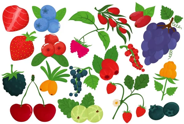 Set de baies, isolé sur blanc, illustration vectorielle. Fruits sains, framboise fraîche, fraise, cerise bio et mûre naturelle. — Image vectorielle
