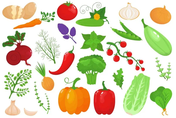 Λαχανικά, υγιεινά τρόφιμα, απομονωμένα σε λευκό, διανυσματική απεικόνιση. Πιπέρι, αγγούρι, ντομάτα και βιολογικό καρότο, φρέσκια συλλογή. — Διανυσματικό Αρχείο