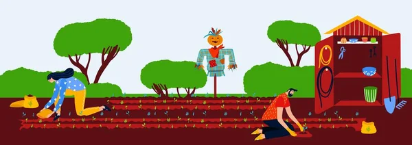 Zahradnictví koncept rostlin, vektorové ilustrace, muž žena charakter práce v přírodě, pěstovat zelené zemědělství v zahradě, pár semeno prasnice na záplatě. — Stockový vektor
