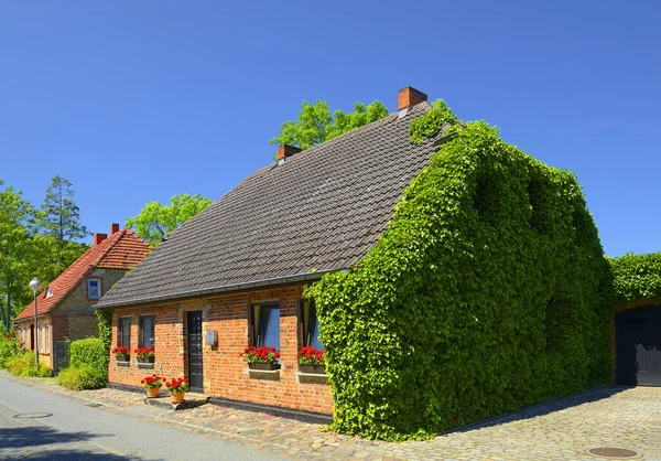 Typische Landhäuser Von Kap Arcona Auf Der Insel Rügen Deutschland — Stockfoto