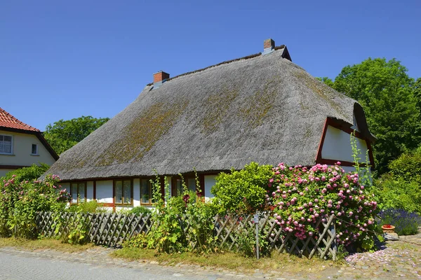 Maisons Campagne Typiques Kap Arcona Sur Île Rugen Allemagne — Photo