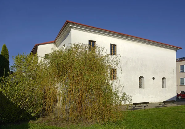 ホレソフ シャー シナゴーグはラビ シャバタイ ハコヘンにちなんで呼ばれた 16世紀後半に建設された 今日では シナゴーグはチェコ共和国モラヴィアの博物館です — ストック写真