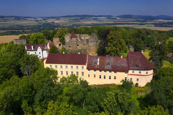城Klenova チェコ共和国 ヨーロッパ クレノフ城はクラトヴィの町の近くの南西部ボヘミアに位置する大きな城です — ストック写真