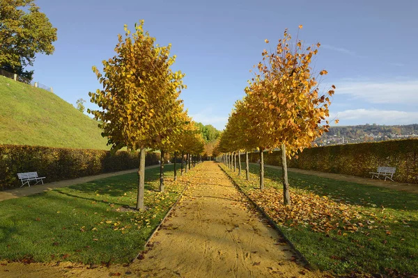 Herbstallee Garten Mähren Tschechische Republik — Stockfoto