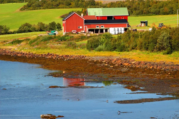 Типовий Фермерський Будинок Березі Беккарфіорд Фіорд Північній Норвегії Скандинавії Європі — стокове фото
