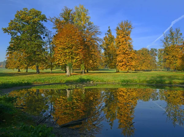 Herfst Het Park Silherovice Bij Ostrava Tsjechië — Stockfoto