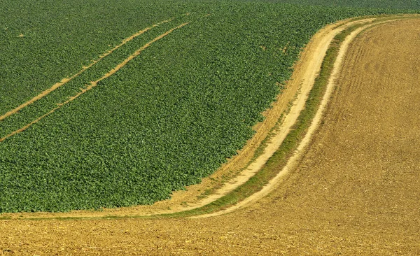 Sobulky Campos Morávios Paisagem Torno Kyjov Chamado Toscana Morávia República — Fotografia de Stock